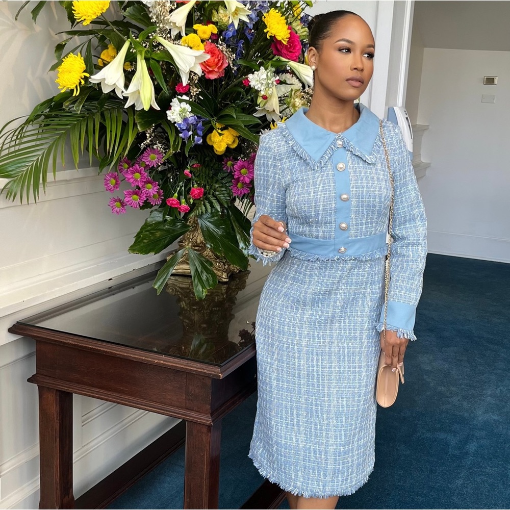 Blue Collared Button Front Dress